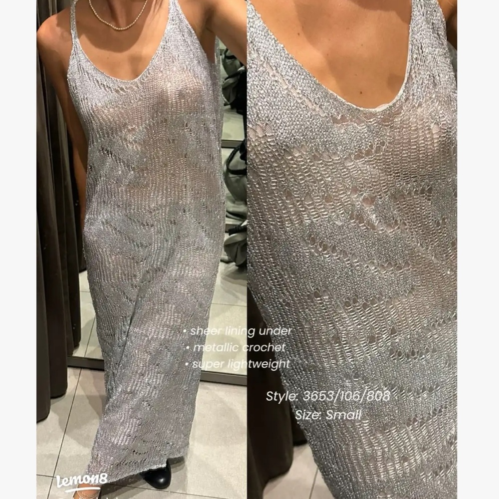 Zara silver sheer crochet sequin dress